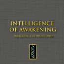 Intelligence of Awakening book cover